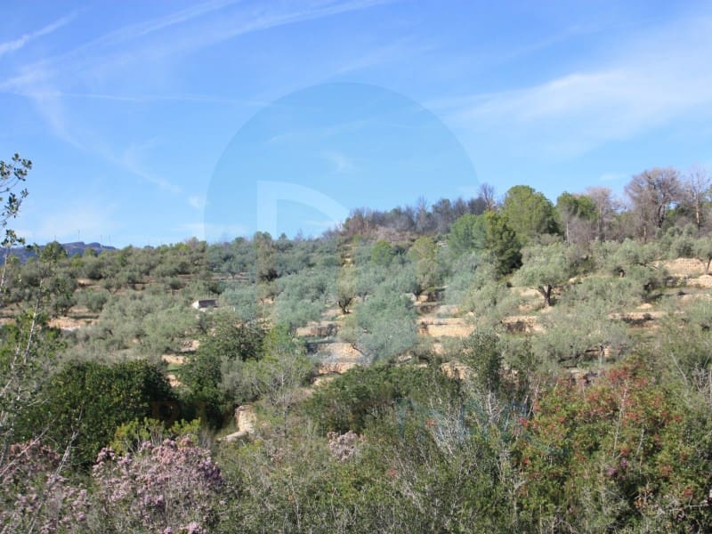 1 soveværelse Finca/Landehus til salg i El Perello - € 75.000 (Ref: 10142404)