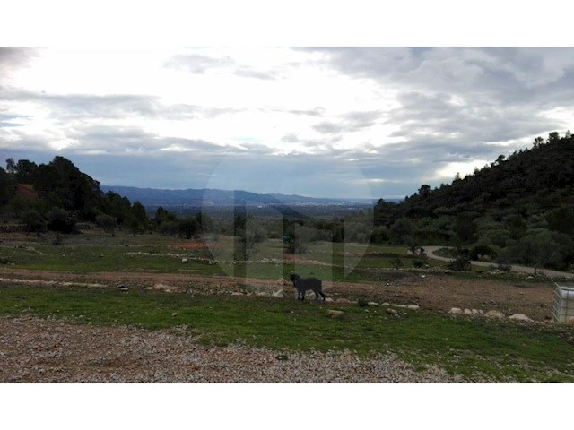 Finca/Landehus til salg i Alfara de Carles - € 179.000 (Ref: 3731021)