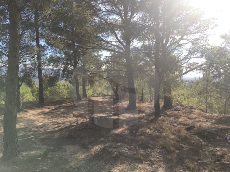 Finca/Landehus til salg i Alfara de Carles - € 179.000 (Ref: 3731021)