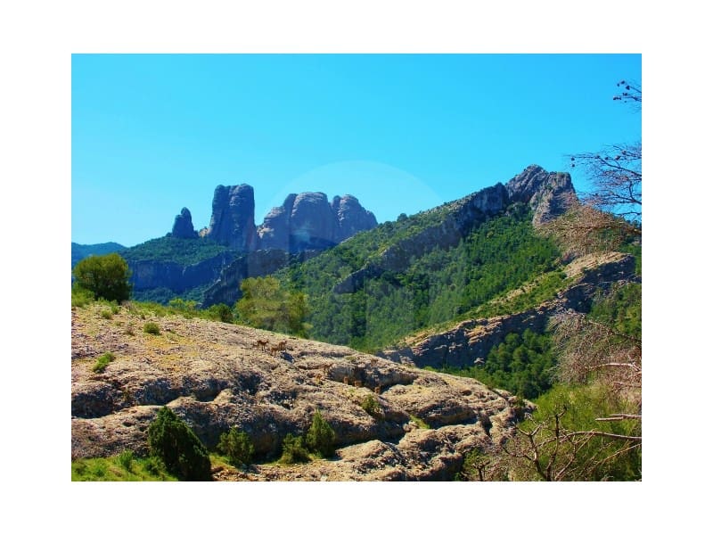 Finca/Landehus til salg i Alfara de Carles - € 179.000 (Ref: 3731021)