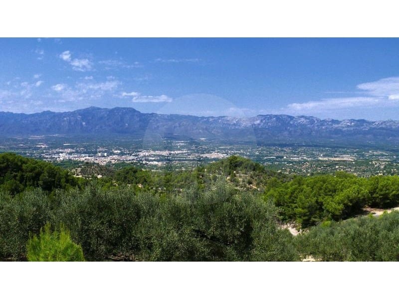 Finca/Landehus til salg i Alfara de Carles - € 179.000 (Ref: 3731021)