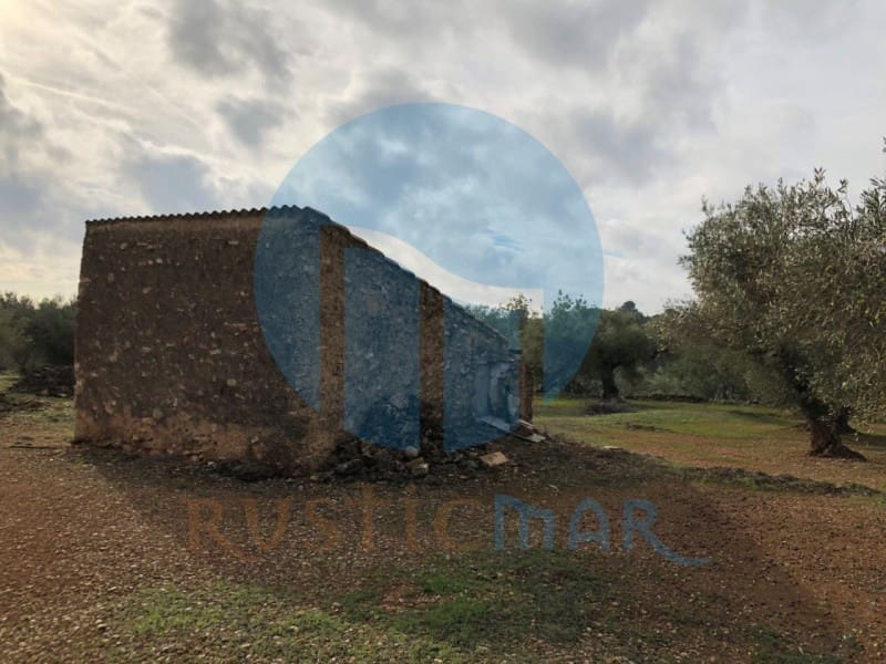 1 quarto Quinta/Casa Rural para venda em L'Ampolla - 65 000 € (Ref: 4998108)