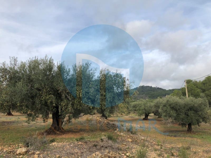 1 quarto Quinta/Casa Rural para venda em L'Ampolla - 65 000 € (Ref: 4998108)