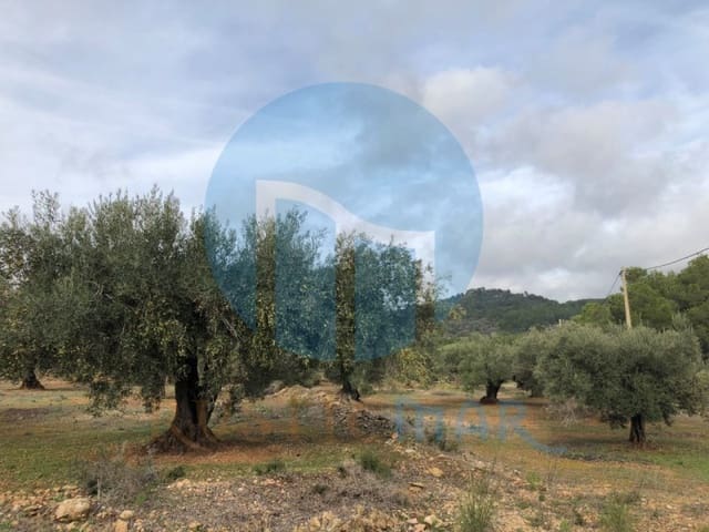 1 quarto Quinta/Casa Rural para venda em L'Ampolla - 65 000 € (Ref: 4998108)