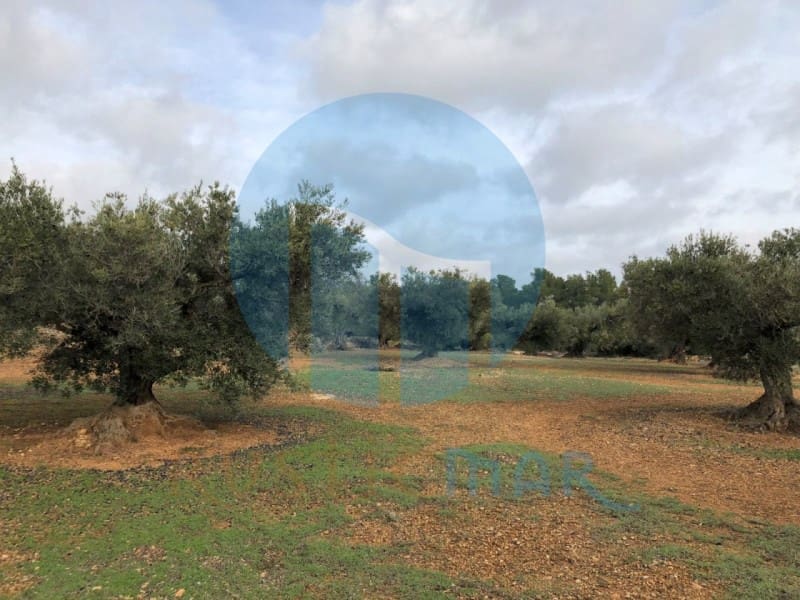 1 quarto Quinta/Casa Rural para venda em L'Ampolla - 65 000 € (Ref: 4998108)