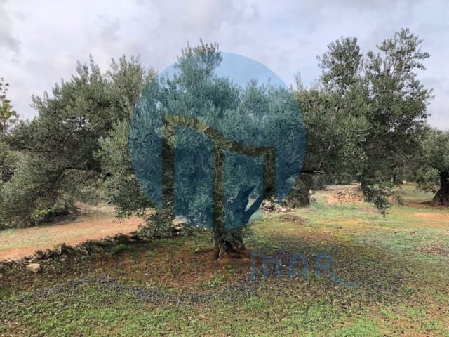 1 quarto Quinta/Casa Rural para venda em L'Ampolla - 65 000 € (Ref: 4998108)