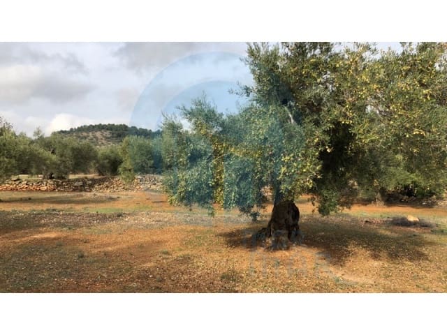 1 quarto Quinta/Casa Rural para venda em L'Ampolla - 65 000 € (Ref: 4998108)