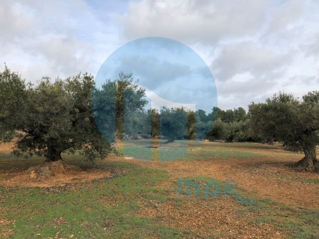 1 quarto Quinta/Casa Rural para venda em L'Ampolla - 65 000 € (Ref: 4998108)