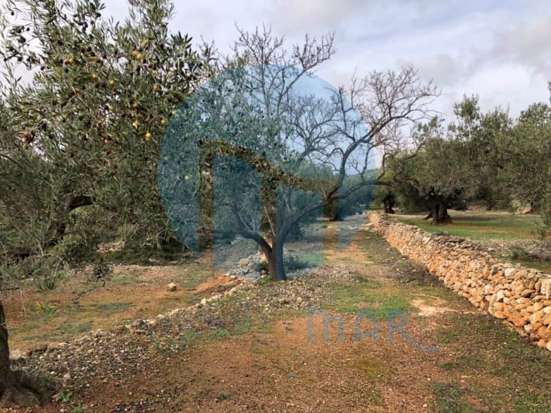 1 quarto Quinta/Casa Rural para venda em L'Ampolla - 65 000 € (Ref: 4998108)