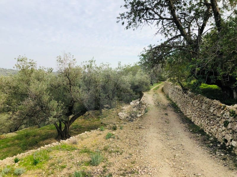 1 bedroom Finca/Country House for sale in Tortosa - € 69,000 (Ref: 4998125)