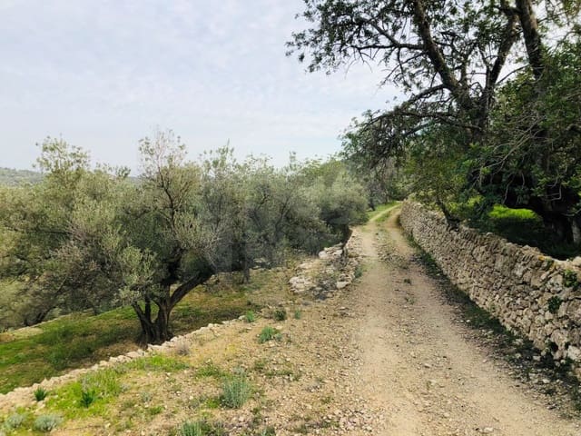 1 bedroom Finca/Country House for sale in Tortosa - € 69,000 (Ref: 4998125)