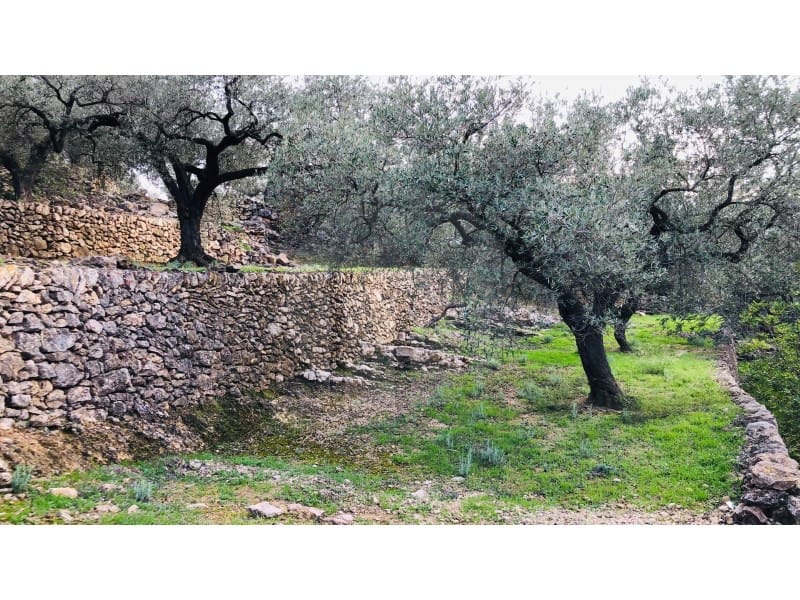 1 bedroom Finca/Country House for sale in Tortosa - € 69,000 (Ref: 4998125)