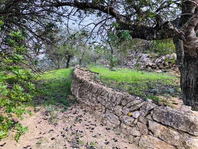 1 bedroom Finca/Country House for sale in Tortosa - € 69,000 (Ref: 4998125)