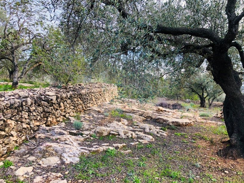 1 bedroom Finca/Country House for sale in Tortosa - € 69,000 (Ref: 4998125)