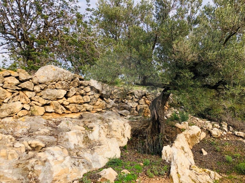 1 bedroom Finca/Country House for sale in Tortosa - € 69,000 (Ref: 4998125)