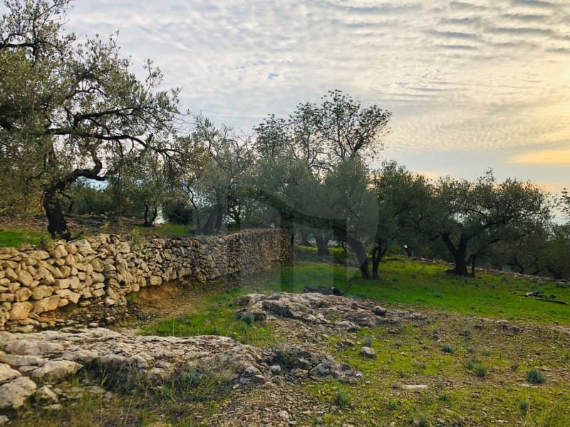 1 bedroom Finca/Country House for sale in Tortosa - € 69,000 (Ref: 4998125)