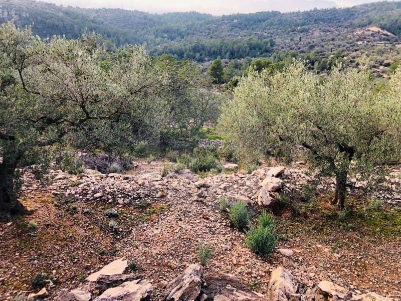 1 bedroom Finca/Country House for sale in Tortosa - € 69,000 (Ref: 4998125)