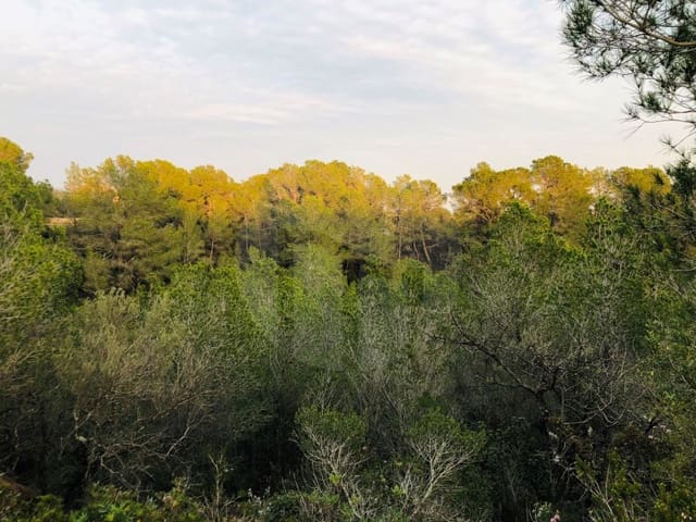 1 sovrum Finca/Hus på landet till salu i Tortosa - 37 500 € (Ref: 4998127)