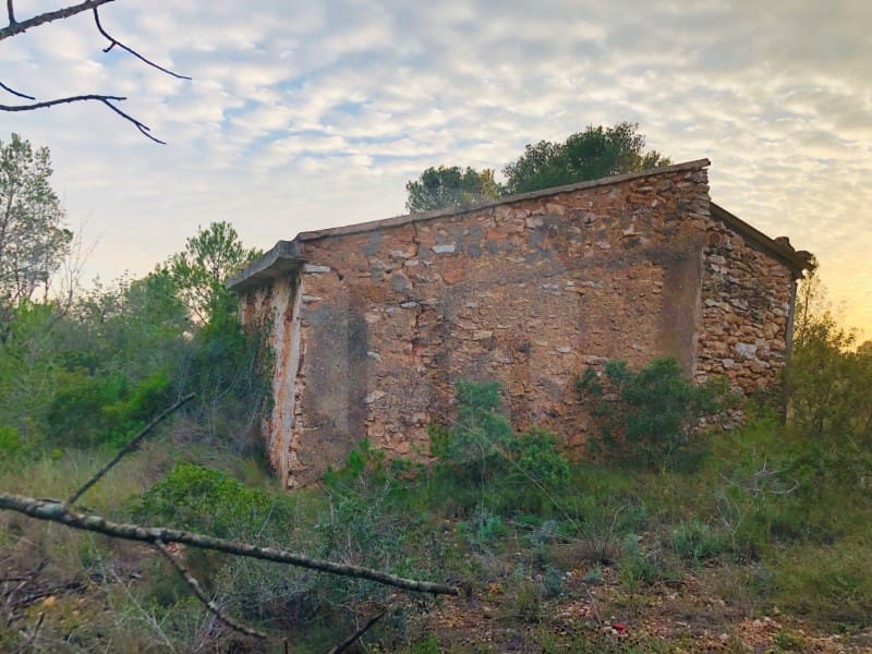 1 Zimmer Finca/Landgut zu verkaufen in Tortosa - 37.500 € (Ref: 4998127)