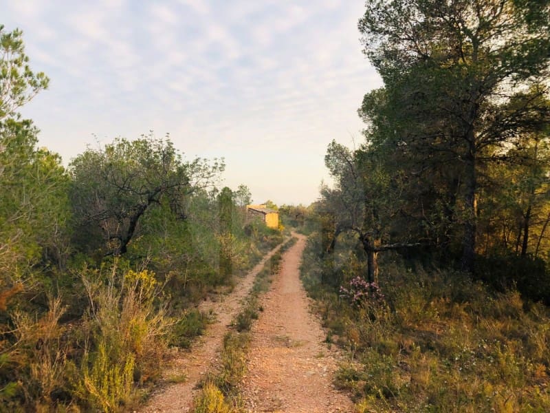 1 Zimmer Finca/Landgut zu verkaufen in Tortosa - 37.500 € (Ref: 4998127)