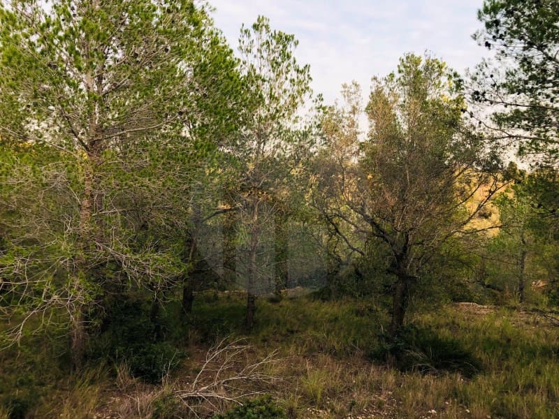 1 Zimmer Finca/Landgut zu verkaufen in Tortosa - 37.500 € (Ref: 4998127)