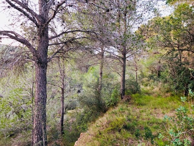 1 sovrum Finca/Hus på landet till salu i Tortosa - 37 500 € (Ref: 4998127)