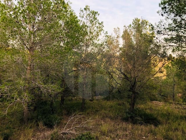 1 sovrum Finca/Hus på landet till salu i Tortosa - 37 500 € (Ref: 4998127)