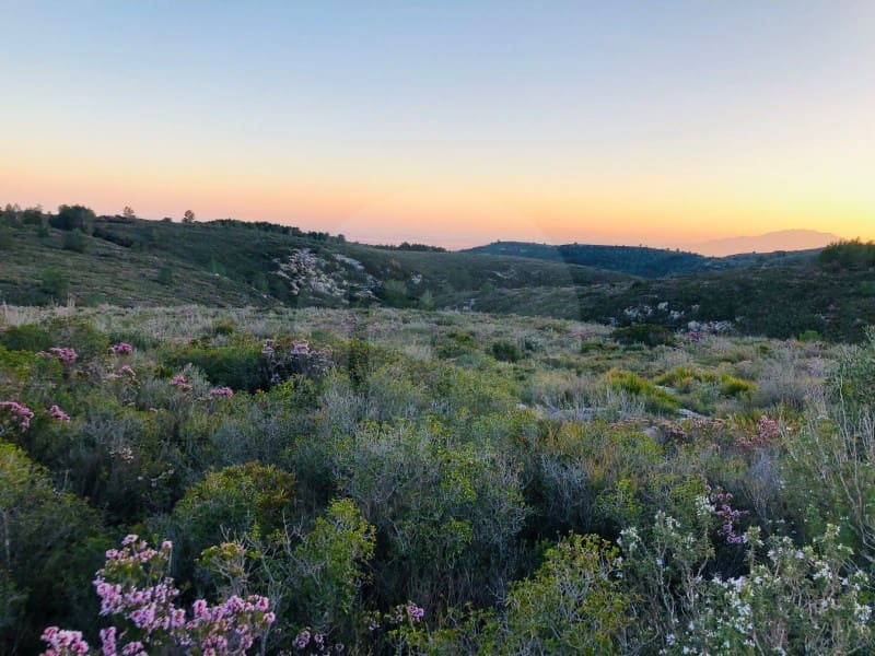 1 sypialnia Finka/Dom wiejski na sprzedaż w Tortosa - 46 000 € (Ref: 4998129)