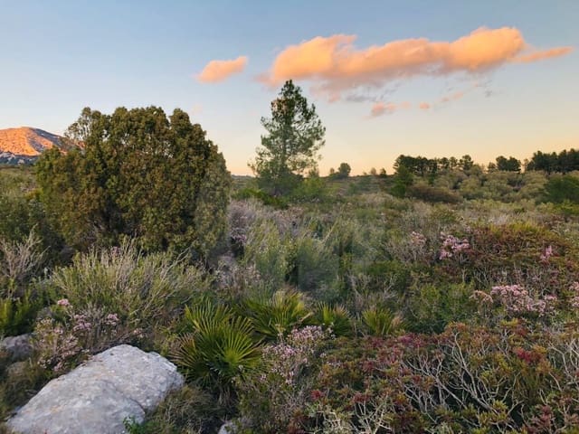 1 sovrum Finca/Hus på landet till salu i Tortosa - 46 000 € (Ref: 4998129)