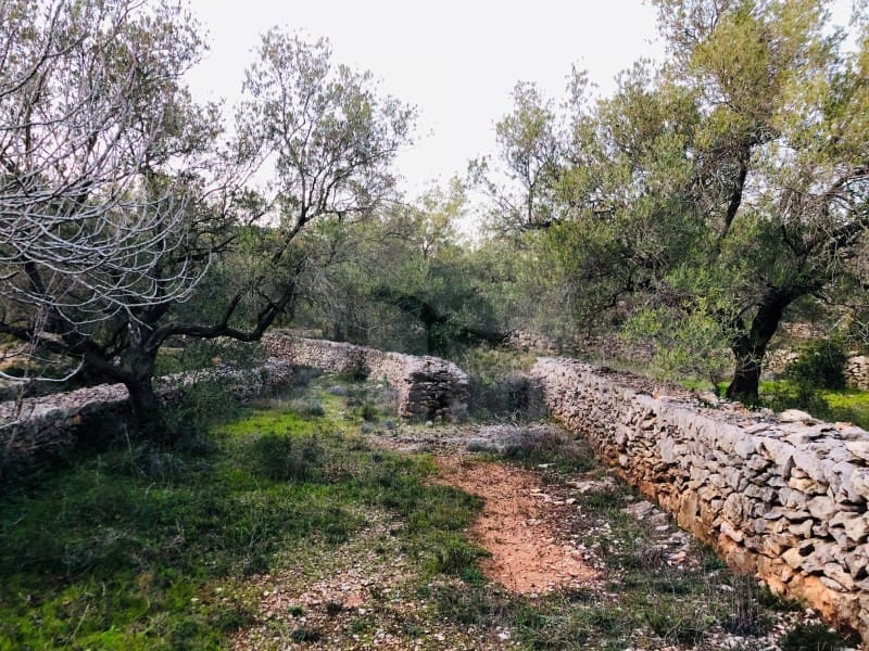 1 sypialnia Finka/Dom wiejski na sprzedaż w Tortosa - 46 000 € (Ref: 4998129)