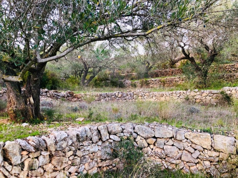 1 sypialnia Finka/Dom wiejski na sprzedaż w Tortosa - 46 000 € (Ref: 4998129)