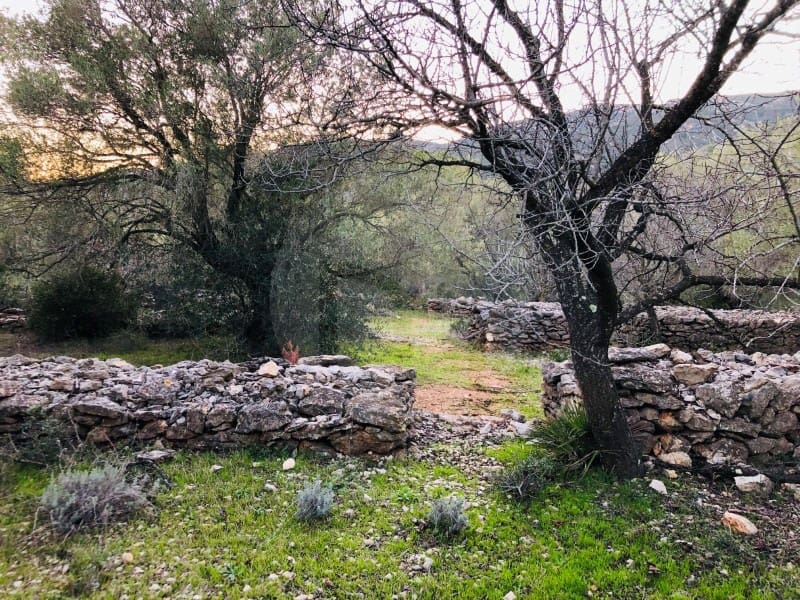 1 sypialnia Finka/Dom wiejski na sprzedaż w Tortosa - 46 000 € (Ref: 4998129)