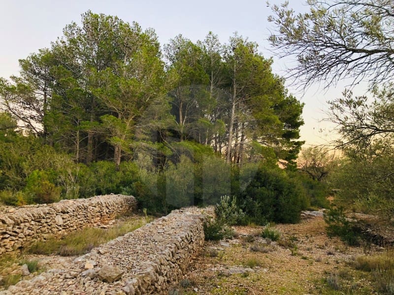 1 sypialnia Finka/Dom wiejski na sprzedaż w Tortosa - 46 000 € (Ref: 4998129)