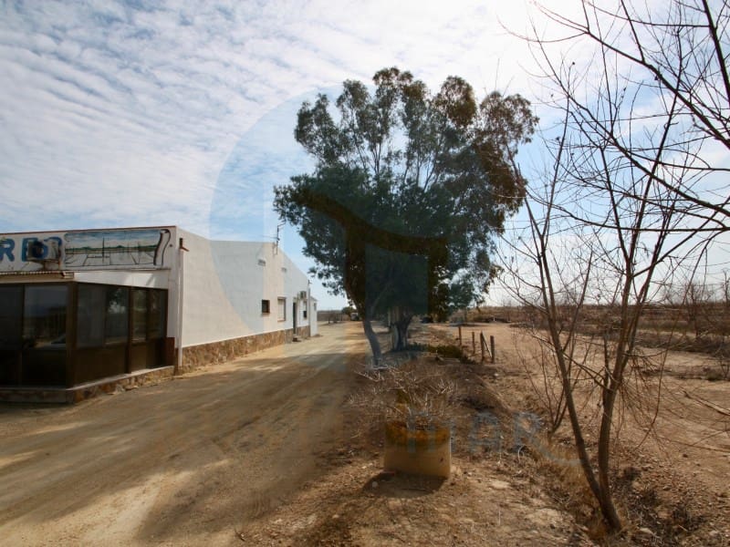 Erhverv til salg i Deltebre - € 300.000 (Ref: 7041006)