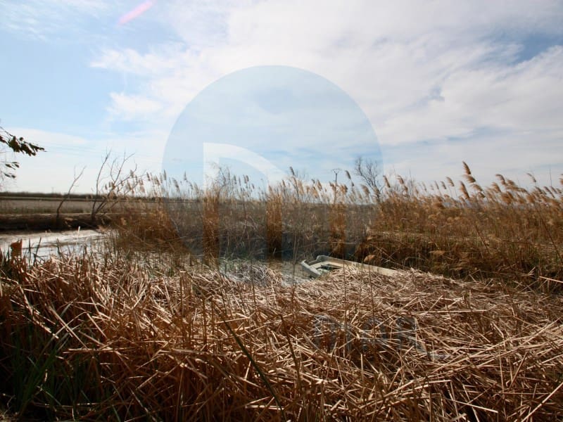 Erhverv til salg i Deltebre - € 300.000 (Ref: 7041006)