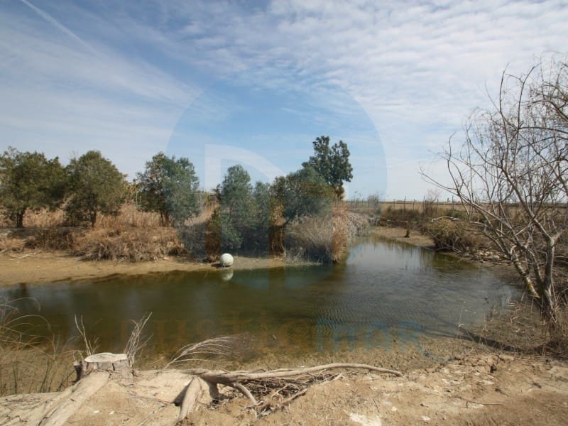 Erhverv til salg i Deltebre - € 300.000 (Ref: 7041006)