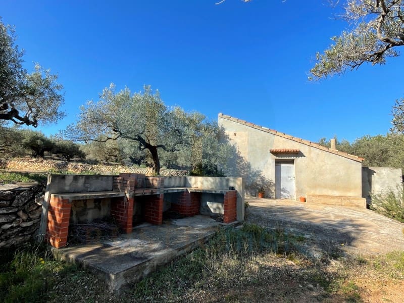 Finca/Herregård til salgs i L'Aldea - € 59 000 (Ref: 7041007)