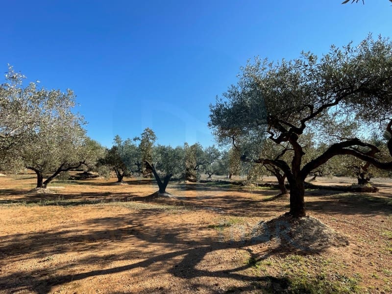 Finca/Herregård til salgs i L'Aldea - € 59 000 (Ref: 7041007)