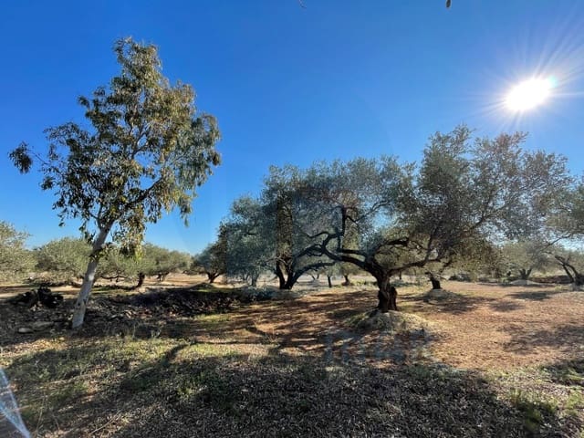 Finca/Herregård til salgs i L'Aldea - € 59 000 (Ref: 7041007)