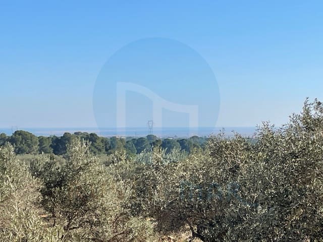 Finca/Herregård til salgs i L'Aldea - € 59 000 (Ref: 7041007)