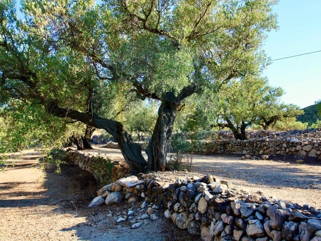 1 quarto Quinta/Casa Rural para venda em Roquetes - 76 000 € (Ref: 7112320)