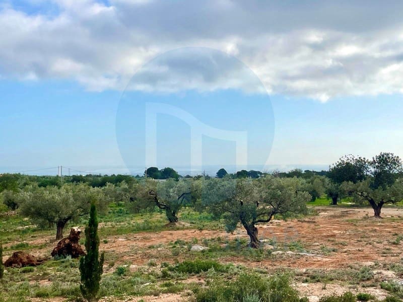 1 bedroom Finca/Country House for sale in Camarles - € 76,000 (Ref: 7711205)