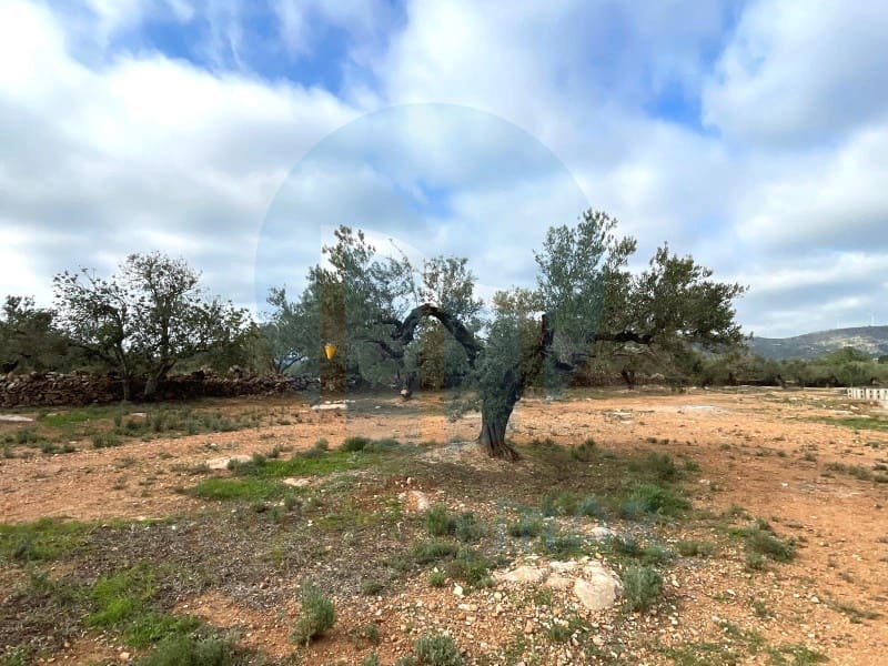 1 bedroom Finca/Country House for sale in Camarles - € 76,000 (Ref: 7711205)