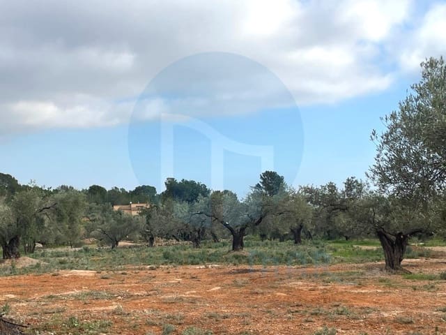 1 sovrum Finca/Hus på landet till salu i Camarles - 76 000 € (Ref: 7711205)