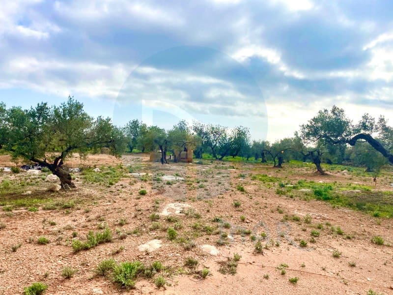 1 bedroom Finca/Country House for sale in Camarles - € 76,000 (Ref: 7711205)