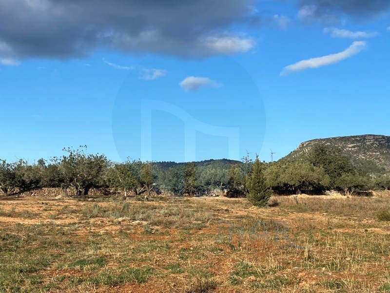 1 bedroom Finca/Country House for sale in Camarles - € 76,000 (Ref: 7711205)