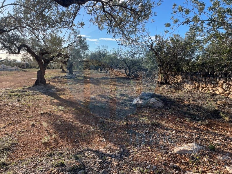 1 bedroom Finca/Country House for sale in Camarles - € 76,000 (Ref: 7711205)