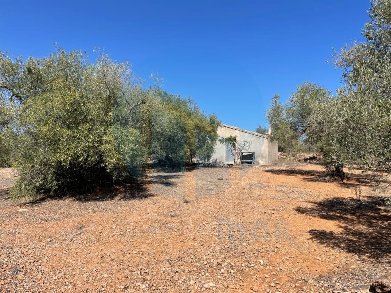 Finca/Country House for sale in L'Ampolla - € 58,000 (Ref: 8045745)