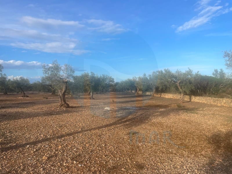 Finca/Landehus til salg i L'Ampolla - € 86.000 (Ref: 8893483)