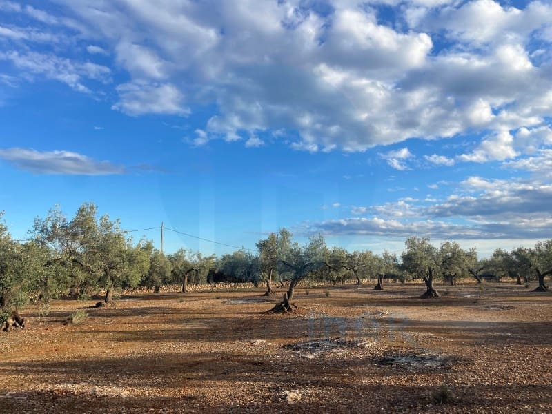 Finca/Landehus til salg i L'Ampolla - € 86.000 (Ref: 8893483)